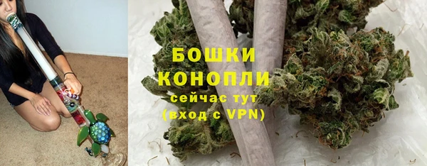 твердый Абаза