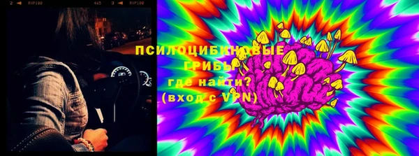 твердый Абаза