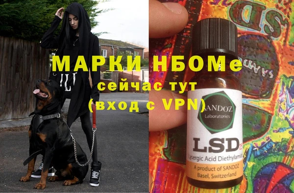 твердый Абаза
