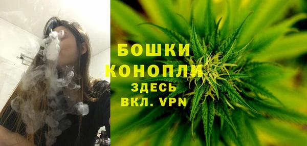 твердый Абаза