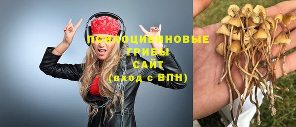 spice Абинск